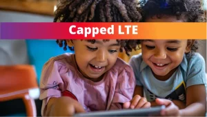 Fixed LTE 800GB – Capped