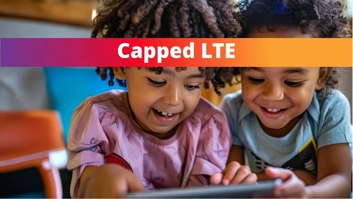 Fixed LTE 800GB – Capped